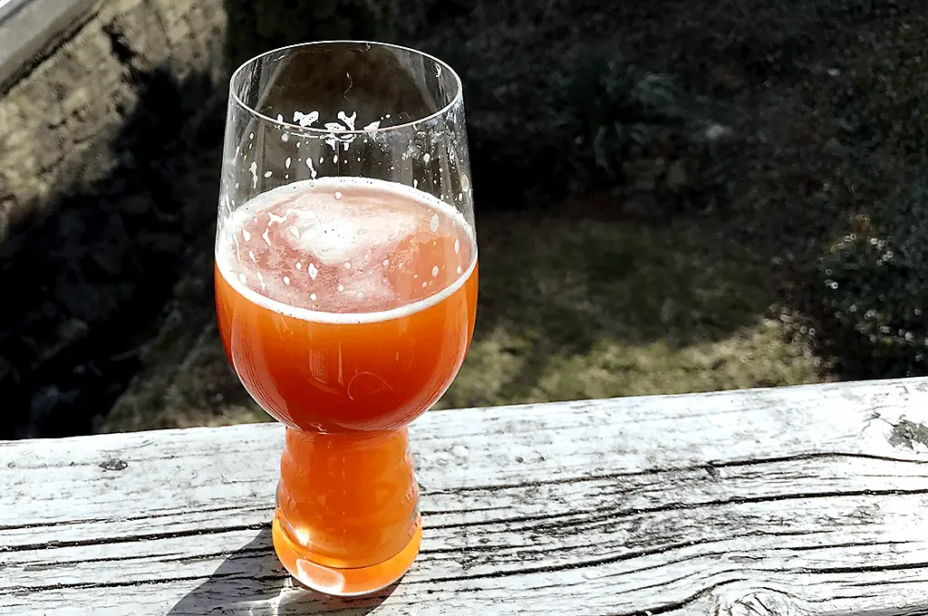 Trübes IPA im Glas vor dem Umdrücken: Vorher-Zustand des Bieres mit Hefesediment vor der Klärung aus dem Keg