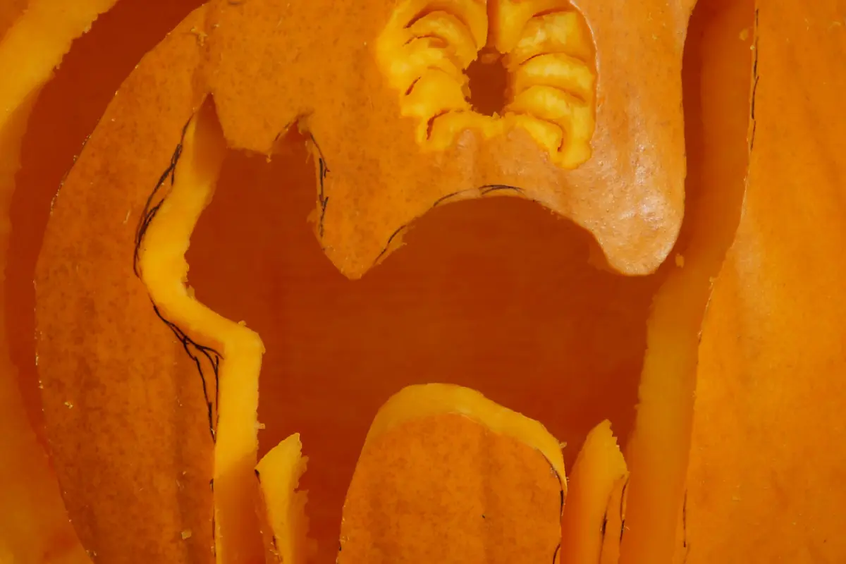 sh Pumpkin Puree 800px Nahaufnahme eines geschnitzten Halloween-Kürbisses, der als Grundlage für selbstgemachtes Kürbis-Püree für Pumpkin Ale dient.