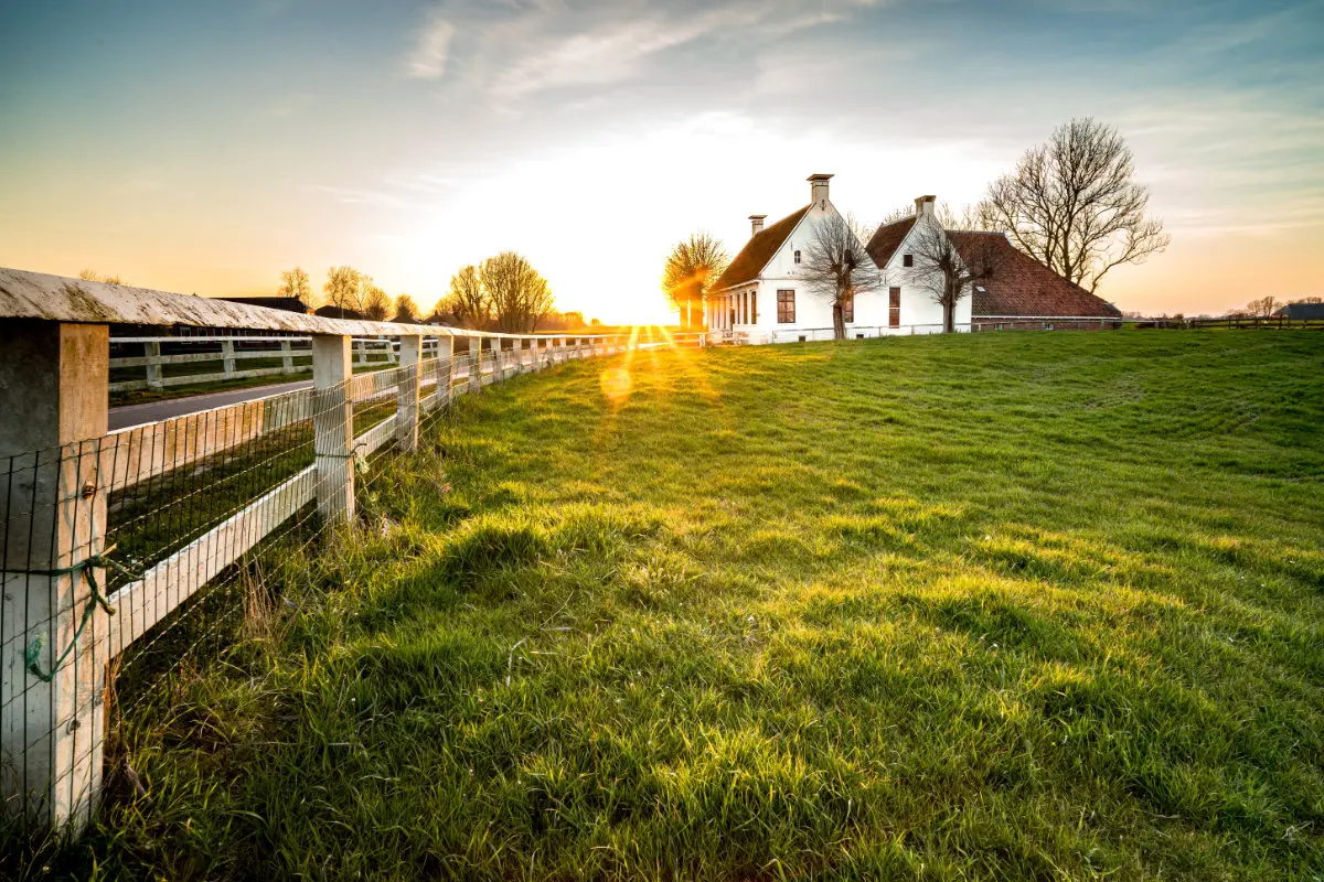 sh Pumpkin Farm House 800px Ein weißer Lattenzaun führt im goldenen Licht des Sonnenaufgangs zu einem idyllischen Farmhaus für Halloween ins Glas