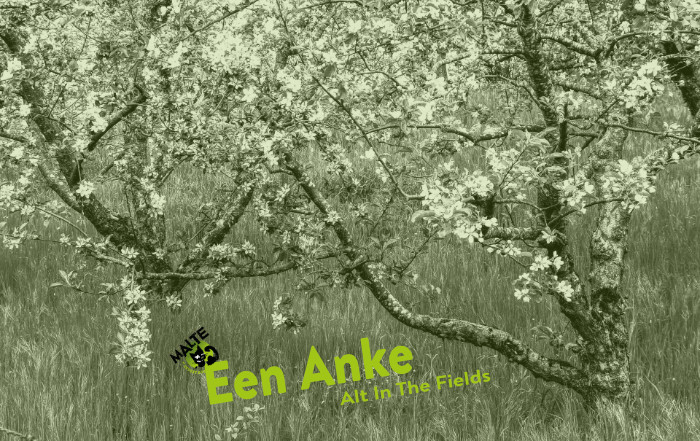 sh Een Anke 441px