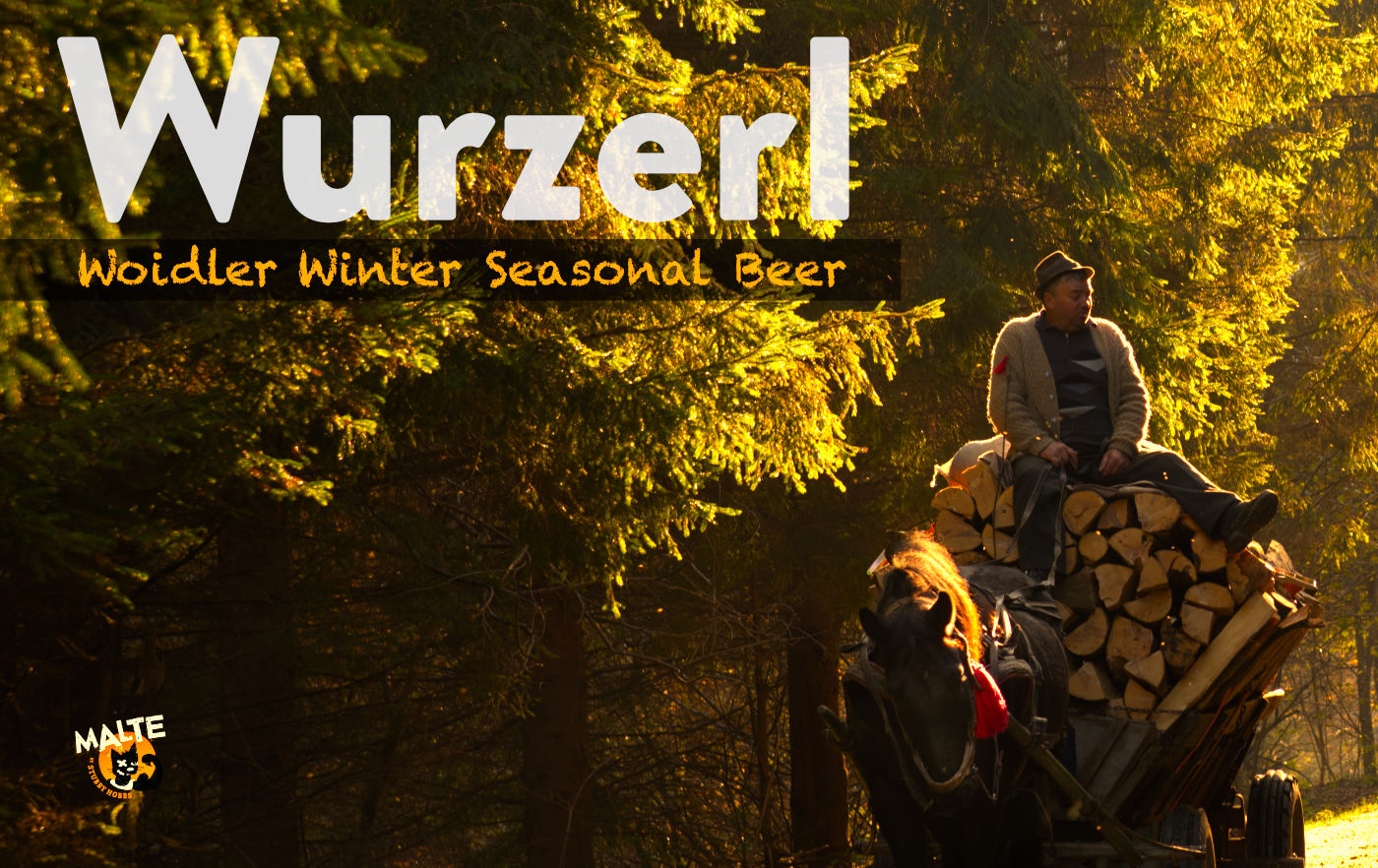 Ein rumänischer Bauer fährt im Abendlicht auf einem Holzfuhrwerk durch den Nadelwald für das Wurzerl Winterbier.